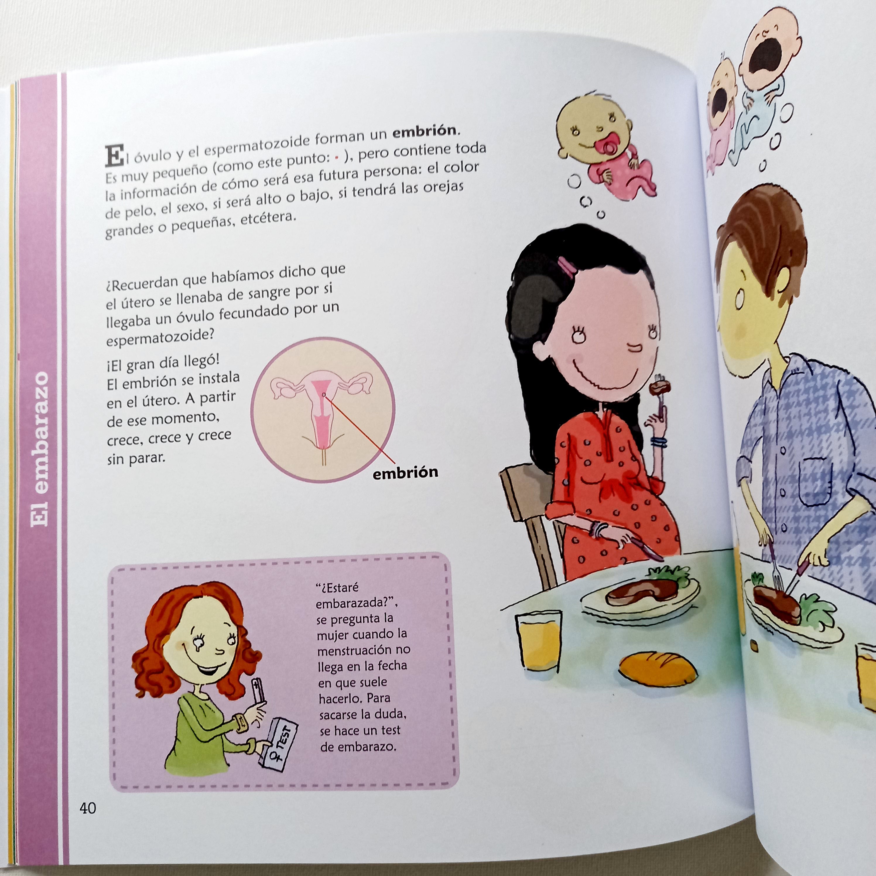 Qué es esto? La sexualidad explicada para niños Qué es esto? La sexualidad explicada para niños